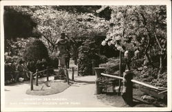 Oriental Tea Garden, Golden Gate Park Postcard