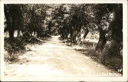 Road to Lake Quebec Canada Postcard Postcard Postcard