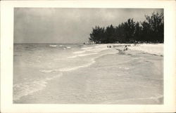 Beach Scene, Sarasota, Florida Postcard