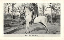 Man on white Horse FP Ranch. Oklahoma (Woolaroc) Cowboy Western Postcard Postcard Postcard