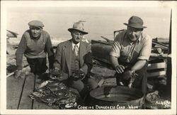 Three Men Cooking Dungeness Crabs Postcard