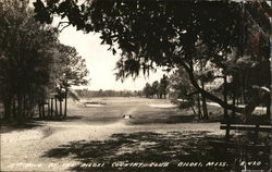 13th. hole at the Biloxi Country Club, Biloxi, Miss. Postcard