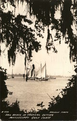 Sail Boats In Tropical Setting, Mississippi Gulf Coast Postcard