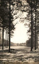 The Biloxi Country Club - Cathedral of Pines, 16th Hole Postcard