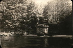 View of Woods and Water Postcard