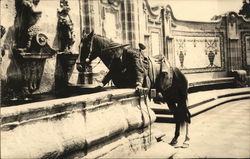 A man stands with a horse in front of a fountain - Mexico City Postcard