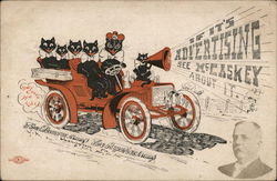 Observer Publishing Company - Black Cats in Car Washington, PA Advertising Postcard Postcard Postcard