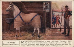 5A Horse Blankets, Wm Ayres & Sons Philadelphia, PA Advertising Postcard Postcard Postcard