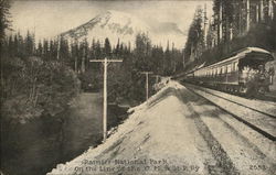 C. M. & St. Paul Railway - Rainier National Park Postcard