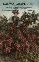 Calwa Grape Juice San Francisco, CA Advertising Postcard Postcard Postcard