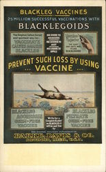 Parke, Davis & Co. -The Animal Industry Depart. - Blackleg Vaccines Postcard