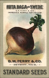 D.M. Ferry & Co. Standard Seeds Postcard