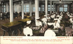 Beech-Nut Packing Company Canajoharie, NY Advertising Postcard Postcard Postcard