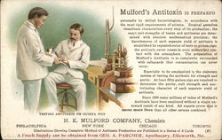 Mulford's Antitoxin, H.K. Mulford Company, Chemists Philadelphia, PA Advertising Postcard Postcard Postcard