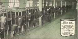 One of Our Sanitary Barns, Hershey Chocolate Co. Postcard