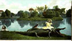 Innocence Abroad Alligators Postcard Postcard