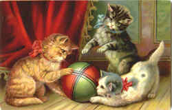 Playfull Kittens Postcard