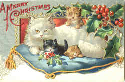 A Merry Christmas Postcard