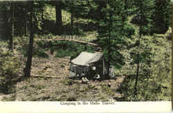 Camping In The Idaho Timber Postcard