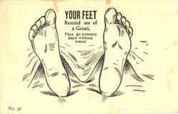 Your Feet Remind me of a Camel Postcard