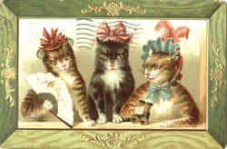 Three Cats Postcard Postcard