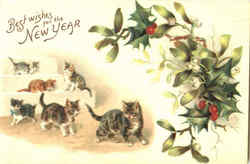 Best Wishes For The New Year Postcard