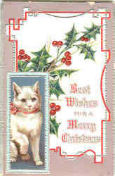 Best Wishes For A Merry Christmas Postcard