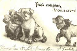 Two's Company Three's A Crowd Postcard