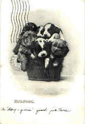 Basket of Puppies Dogs Postcard Postcard