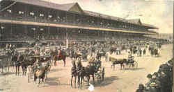 Harness Racing Postcard