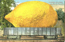 I'M Sending You A Lemon Exaggeration Postcard Postcard