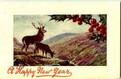 A Happy New Year Postcard