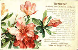 November Birthday Postcard Postcard