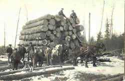 Logging Scene Postcard