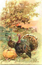 Thanksgiving Day Postcard