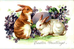 Easter Greetings Postcard Postcard