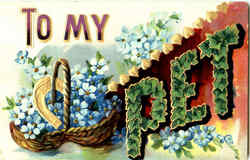 To My Pet Postcard