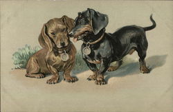 Painting of Dachshund puppies Postcard