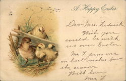 A Happy Easter - chicken with her chicks With Chicks Postcard Postcard Postcard