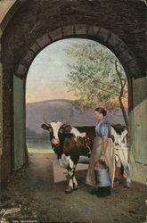 Woman Holding a Bucket Standing Next to Cow Beneath Archway Cows & Cattle Postcard Postcard Postcard