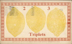 Three Lemons "2 - 3 - - Triplets" Postcard