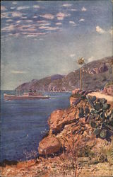 Grace Line - The MS Santa Barbara in Tropical Waters Postcard