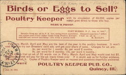 Poultry Keeper Pub. CO. - 1903 Advertising Postcard Postcard