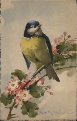 Yellow-Chested Bird with Blue Head Perched Upon Flowering Branch Birds Postcard Postcard Postcard