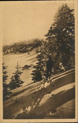 Lone Skier Heading Downhill View From Behind Postcard