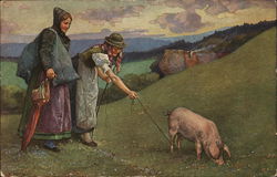 women taking a pig for a walk in the hills Postcard