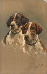 Two Dogs Sitting, One is Brown and White, the Other is Black and White Postcard Postcard