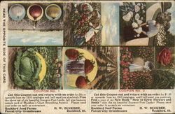 H.W. Buckbee Full of Life Seeds Postcard