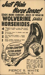 Wolverine Shell Horesehides Postcard