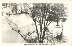 The Northfield Toboggan Run, Sledding  East Northfield, MA Postcard Postcard Postcard